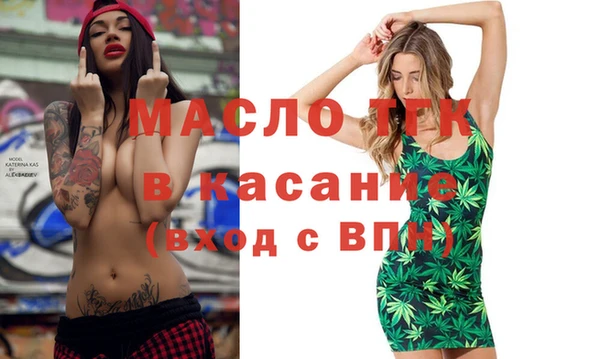 гидра Весьегонск